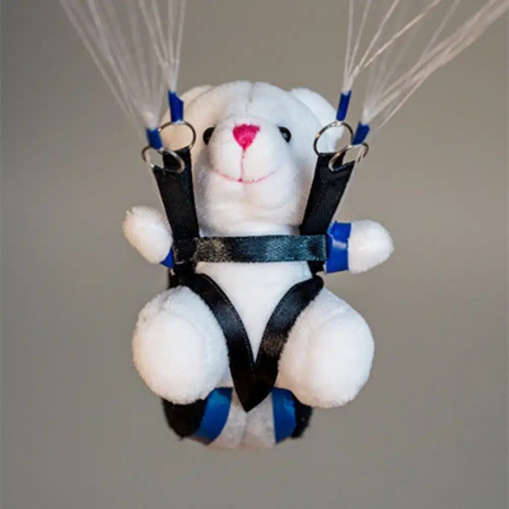 Mini Parapente Nova – Image 4